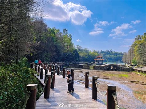 蓮塘好去處